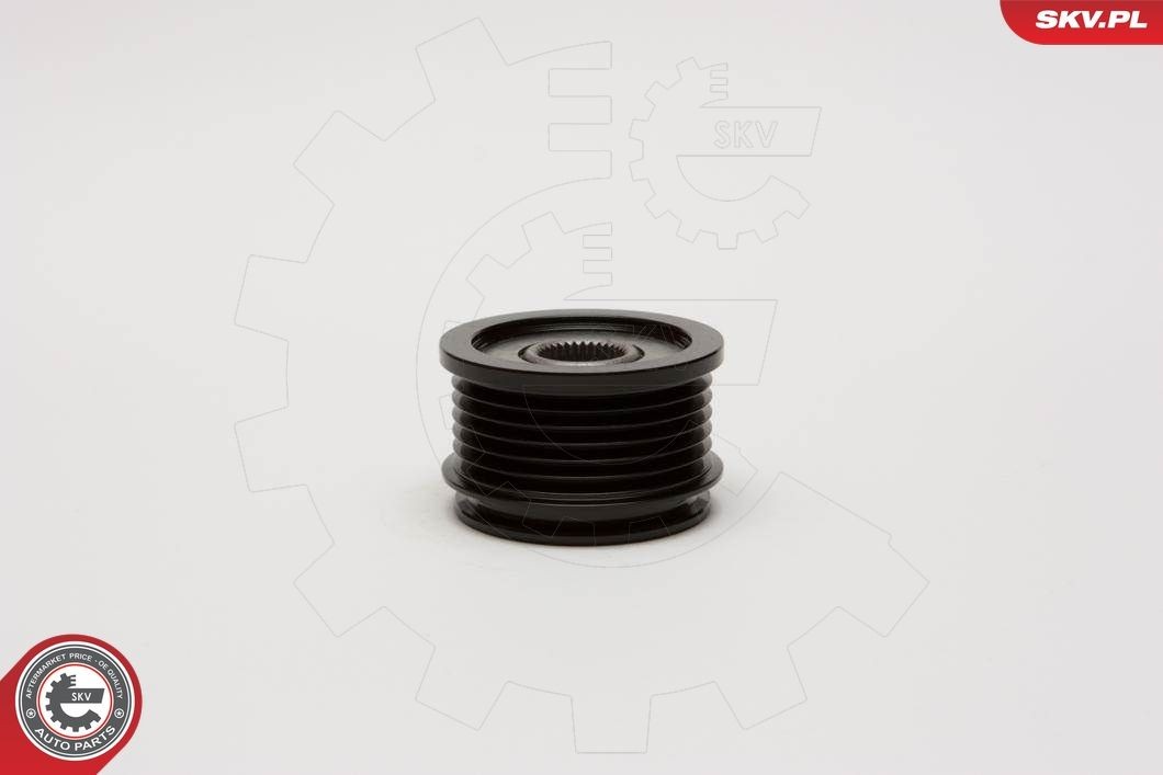 ESEN SKV Poulie roue libre, alternateur 11SKV021 Seat IBIZA Poulie roue libre alternateur ESEN SKV 11SKV021