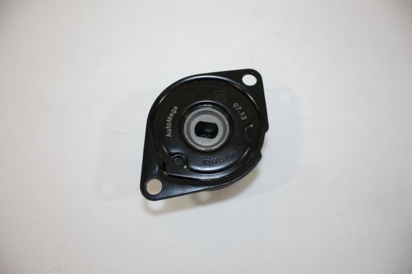 AUTOMEGA Tenditore cinghia servizi 130010710 AUTOMEGA 130010710 Tendicinghia poly v VW Caddy 2 Van prezzo