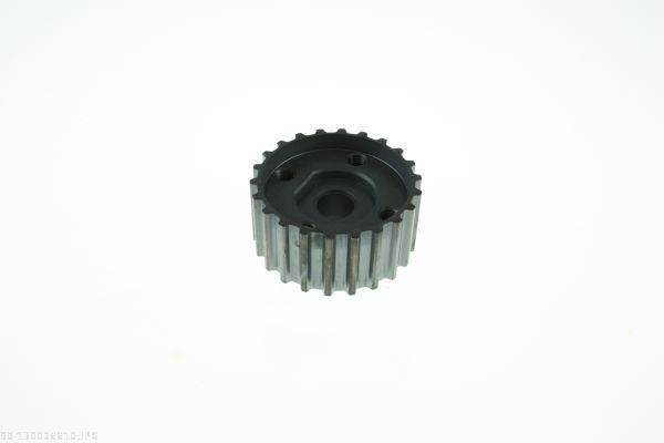 AUTOMEGA Pignon de vilebrequin 130026610 Roue dentée vilebrequin AUTOMEGA 6 130026610 pas cher