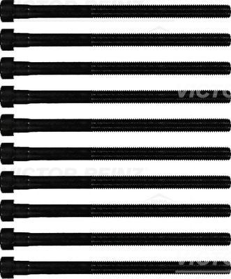 REINZ Kit bulloni testata 14-10213-01 REINZ 14-10213-01 Kit bulloni testata