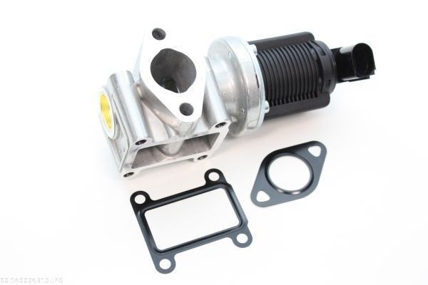 AUTOMEGA AGR - Ventil 140024310 140024310 EGR ventil NISSAN X-TRAIL AUTOMEGA