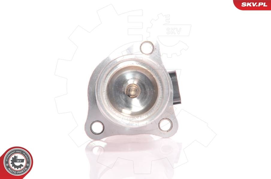 ESEN SKV EGR klep 14SKV010 14SKV010 EGR JEEP GRAND CHEROKEE ESEN SKV