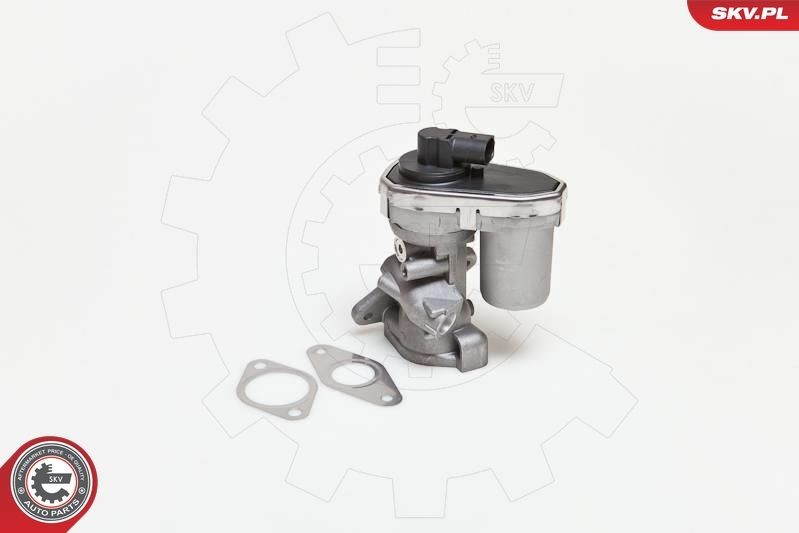 ESEN SKV EGR valve 14SKV038 14SKV038 ESEN SKV egr valve for CITROЁN