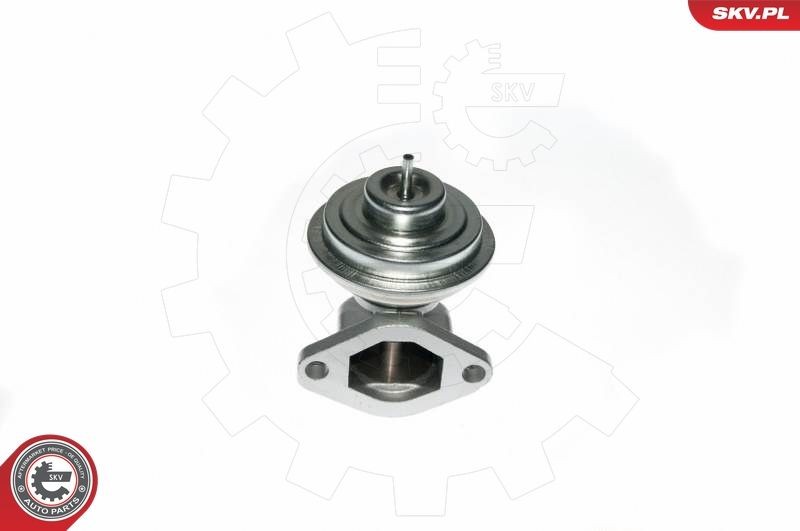 ESEN SKV AGR - Ventil 14SKV049 ESEN SKV 14SKV049 EGR ventil ROVER Commerce Van / Hatchback (RF) za nízku cenu