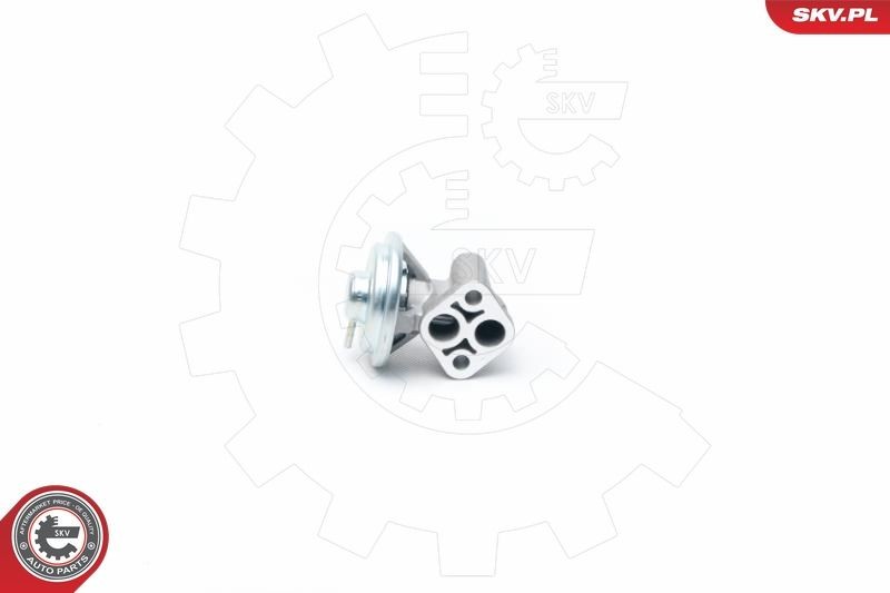 EGR-ventil ESEN SKV 14SKV104 ESEN SKV 14SKV104 EGR modul HYUNDAI SANTA FE 2005