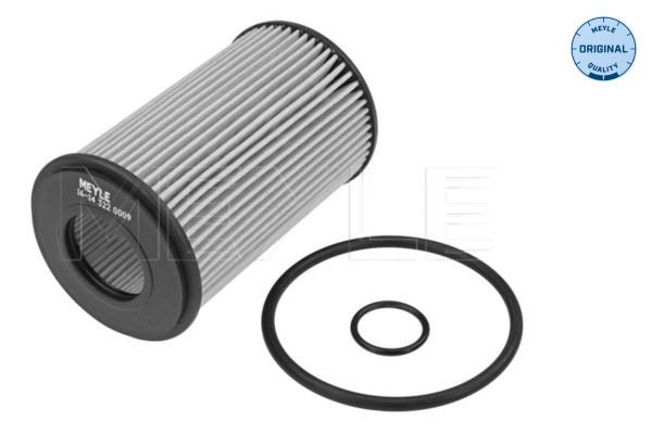 MEYLE Filtro olio 16-14 322 0009 16-14 322 0009 costo Filtro olio RENAULT SCÉNIC MEYLE