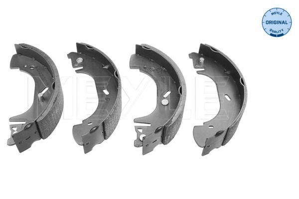 MEYLE Kit ganasce freni 16-14 533 0006 MEYLE 16-14 533 0006 Kit ganasce freno Renault Master 2 Camion pianale prezzo