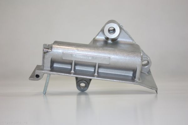 AUTOMEGA Amortecedor de vibrações, correia dentada 160010010 AUTOMEGA 160010010 Amortecedor de vibrações, correia dentada Nissan Almera Mk2 a um preço acessível