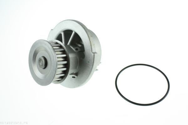 AUTOMEGA Αντλία νερού 160010610 Τρόμπα νερού CHEVROLET AUTOMEGA 160010610