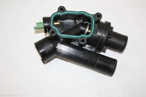 AUTOMEGA Termostat, kjølemiddel 160025910 160025910 Termostathus PEUGEOT 106 AUTOMEGA
