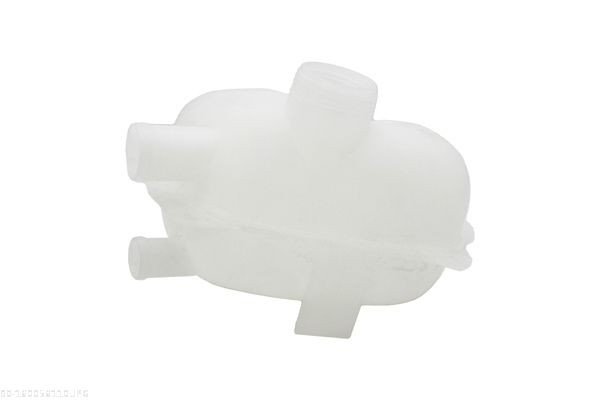 AUTOMEGA Serbatoio compensazione refrigerante 160056110 160056110 Vaschetta acqua radiatore AUTOMEGA Volkswagen FOX costo