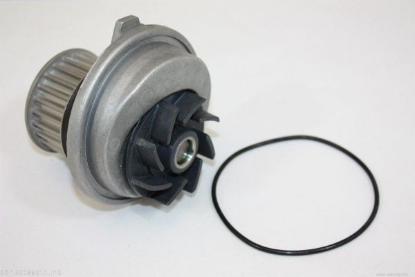 AUTOMEGA Waterpomp 160088610 Pomp, koelvloeistof AUTOMEGA CRUZE 160088610 goedkoop