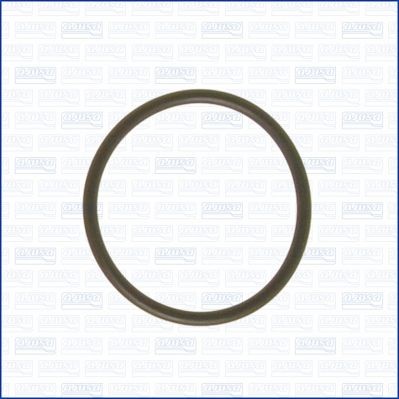 AJUSA Joint, Bride de liquide de refroidissement 16024400 16024400 Joint collecteur d'admission AJUSA FORD TRANSIT