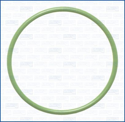 AJUSA Anello tenuta, Flessibile aria alimentazione 16080100 16080100 AJUSA Anello tenuta, tubo aria alimentazione SEAT prezzo