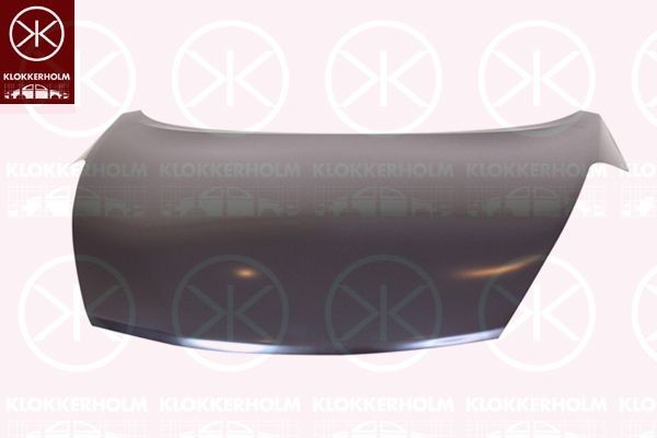 KLOKKERHOLM Konepelti 1638280A1 1638280A1 KLOKKERHOLM Konepelti NISSAN MAXIMA