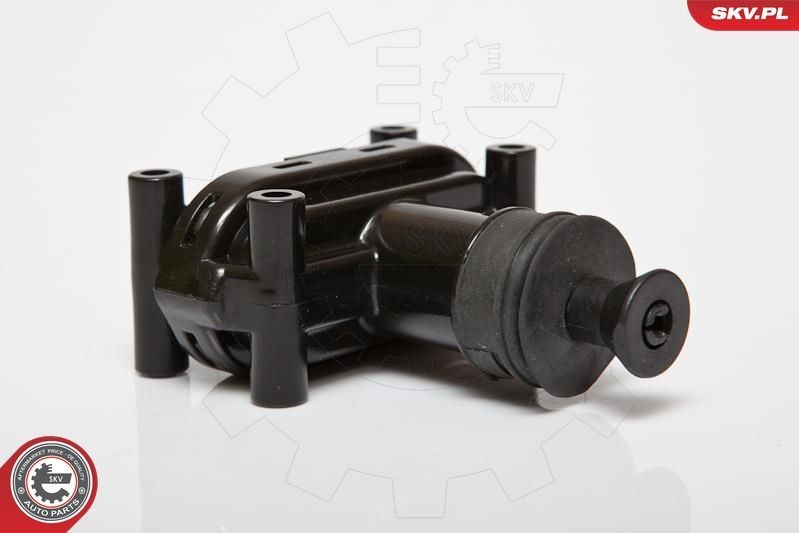 Serrure de porte ESEN SKV 16SKV110 ESEN SKV 16SKV110 Serrure portière MERCEDES-BENZ Classe S 2001