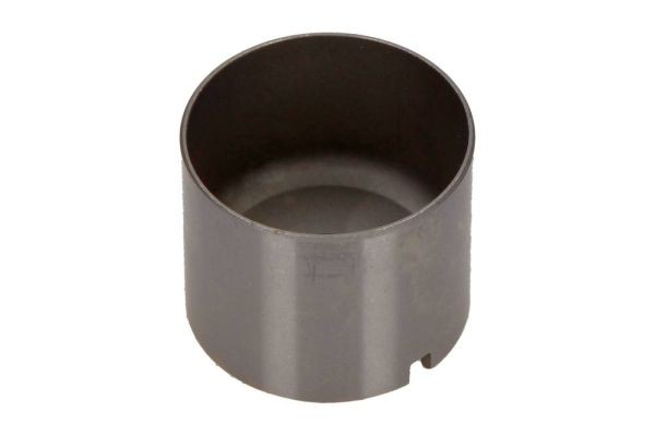 MAXGEAR Punteria idraulica 17-0055 17-0055 costo Punterie idrauliche MAXGEAR CITROËN C3