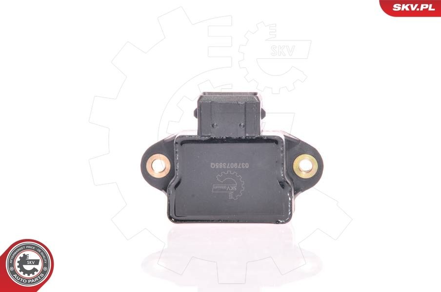 Drosselklappenpotentiometer ESEN SKV 17SKV012 ESEN SKV 17SKV012: Drosselklappensensor Volkswagen CADDY 2004