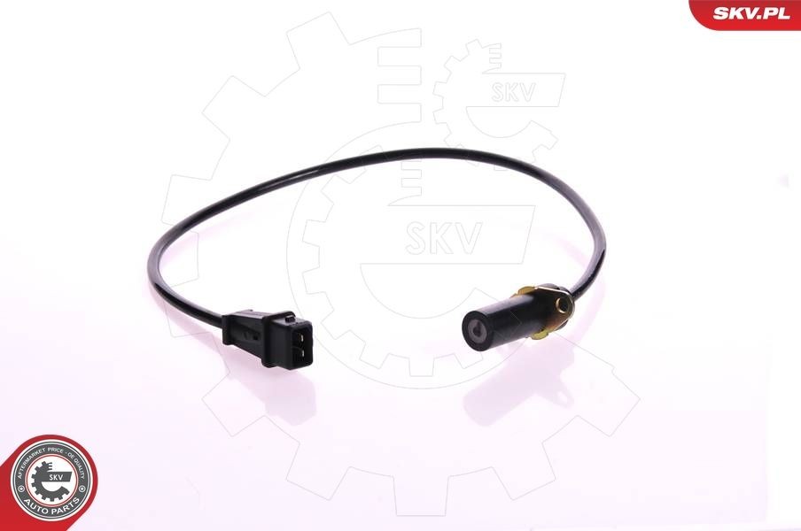 ESEN SKV Krukassensor 17SKV205 Citroën C3 BDP-sensor ESEN SKV 17SKV205