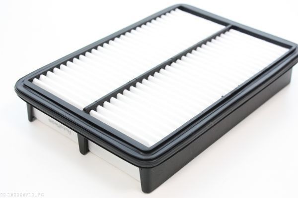 AUTOMEGA Õhufilter 180068710 180068710 Õhufilter HYUNDAI ix55 AUTOMEGA