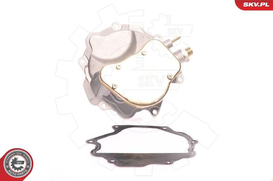 ESEN SKV Vakuumpumpe, bremseanlegg 18SKV007 ESEN SKV 18SKV007 Vakuumpumpe for bremsekraftforsterker SSANGYONG Istana Van billige