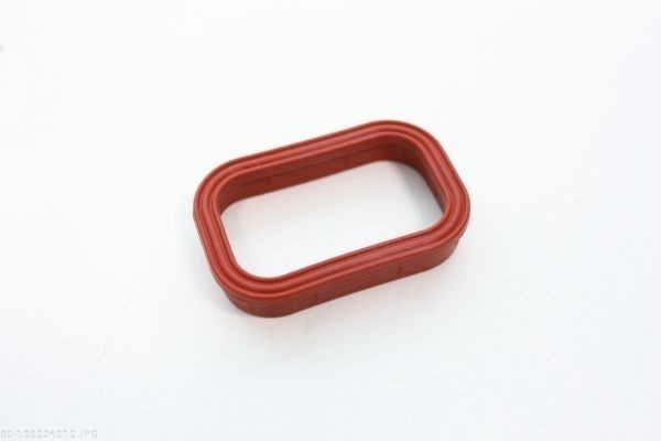 AUTOMEGA Τσιμούχα, πολλαπλή εισαγωγής 190004010 Τσιμουχα πολλαπλής εισαγωγής CITROËN AUTOMEGA 190004010