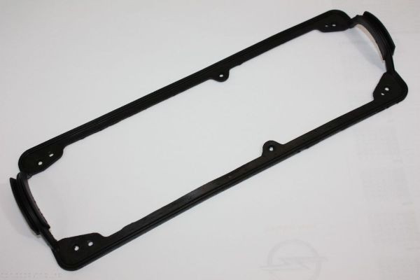 AUTOMEGA Kleppendekselpakking 190025110 Pakking, kleppendeksel CHRYSLER AUTOMEGA 190025110