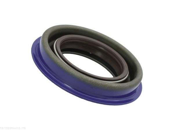 AUTOMEGA Akseltetningsring, differensial 190045510 Akseltetningsring, differensial AUTOMEGA 1007 190045510 billige