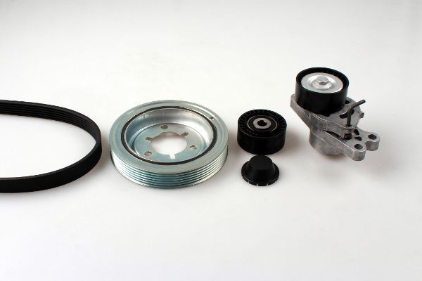 HEPU Kit Cinghie Poly-V 20-1859 20-1859 costo Kit cinghie poly-v HEPU FORD TRANSIT COURIER