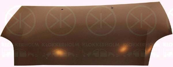 Capô KLOKKERHOLM 2029280A1 KLOKKERHOLM 2029280A1: Capot do motor Fiat BRAVO 2025