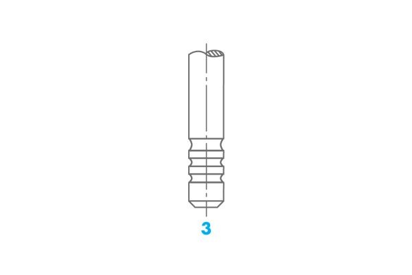 OSVAT Βαλβίδα εξαγωγής 2046 Βαλβίδα εξαγωγής OSVAT C8 2046 φθηνά