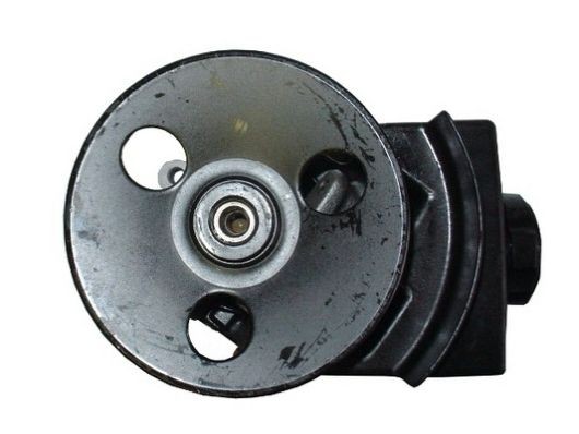 SPIDAN Roolivõimu pump 53597 SPIDAN 53597 Roolivõimendi pump Golf 1 Cabrio hind