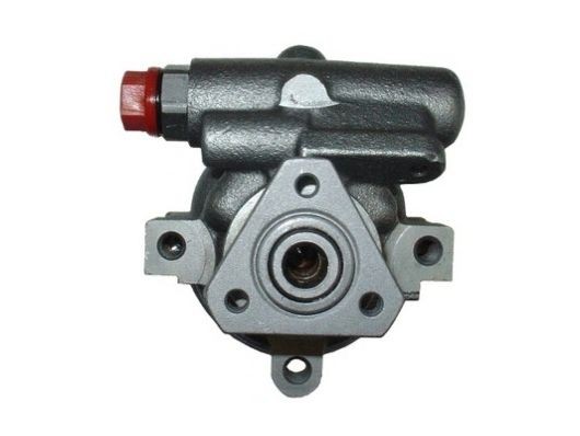 SPIDAN Roolivõimu pump 53672 53672 Roolivõimendi pump SPIDAN RENAULT CLIO
