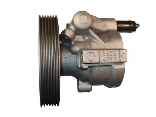 SPIDAN Servopump 54264 54264 SPIDAN servopump NISSAN X-TRAIL