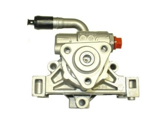 SPIDAN Servopumpe 54271 Servostyringspumpe SPIDAN DS4 54271 billige