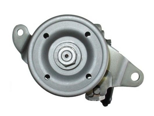 SPIDAN Servopumpe 54454 SPIDAN 54454 Servopumpe