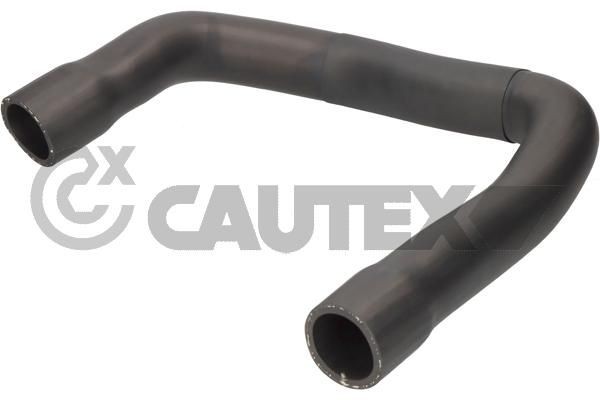 CAUTEX Ladeluftslange 216021 216021 Intercooler slange CAUTEX ALFA ROMEO 156