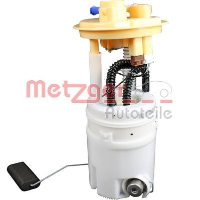 Bensinpumpe METZGER 2250213 METZGER 2250213 Fødepumpe bensin og diesel Mitsubishi L300 / DELICA 2020