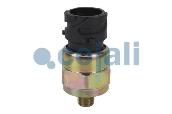 COJALI Pressure Switch, brake hydraulics 2260418 COJALI 2260418 genuine A4 B6 Avant pressure switch, brake hydraulics price