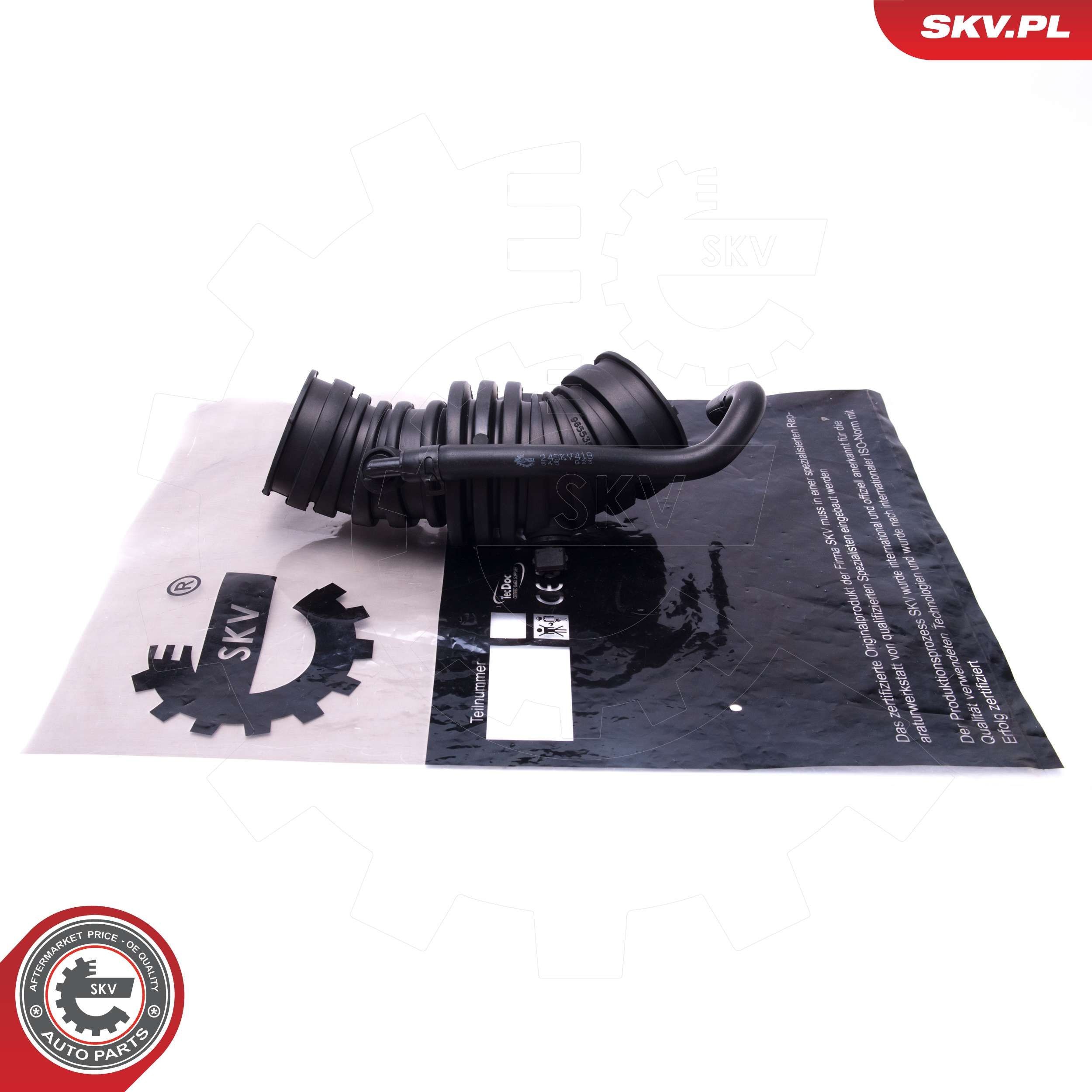 ESEN SKV Insugsslang 24SKV419 24SKV419 Insug, luftfilter ESEN SKV RENAULT CLIO