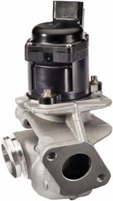 HELLA Vanne EGR 6NU 010 171-121 Peugeot 3008 AGR-module HELLA 6NU 010 171-121