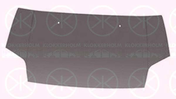 KLOKKERHOLM Capô 2507281 KLOKKERHOLM 2507281 Capô FORD Transit Connect Mk1 Van 2.0 138 cv 2011
