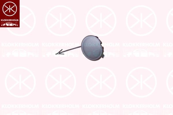 KLOKKERHOLM Capuchon, crochet de remorquage 2556917A1 Cache crochet de remorquage FORD KLOKKERHOLM 2556917A1