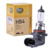 CR-V II (RD_): Lâmpada, farol de longo alcance de HELLA