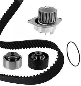 METELLI Distributieriem set + waterpomp 30-0491-2 Distributieriem kit METELLI JUKE 30-0491-2 goedkoop
