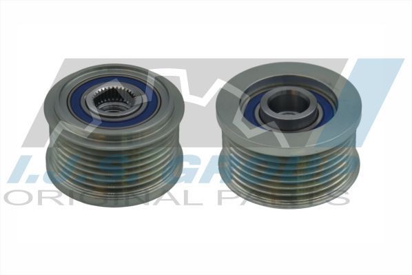 IJS GROUP Dynamopoelie 30-1039 IJS GROUP 30-1039 Dynamo onderdelen Land Rover Defender Cabrio prijs