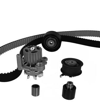 METELLI Wasserpumpe + Zahnriemensatz 30-1355-5 30-1355-5 Zahnriemen + Wasserpumpe VW PHAETON METELLI kaufen