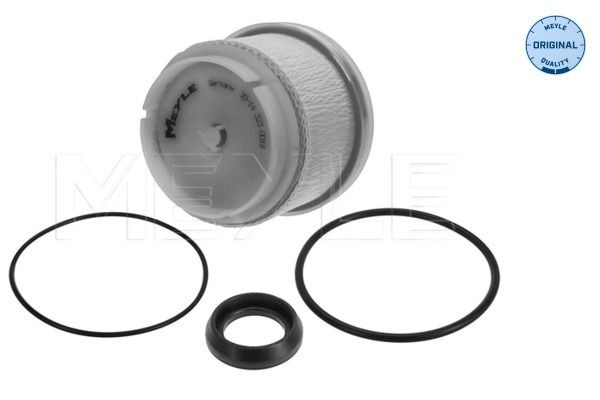 MEYLE Brændstof-filter 30-14 323 0018 Brændstoffilter MEYLE 4 RUNNER 30-14 323 0018 billig