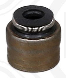 ELRING Tesniaci krúżok drieku ventilu 308.610 ELRING 308.610 Tesniaci krúżok drieku ventilu Ford USA MUSTANG lacné
