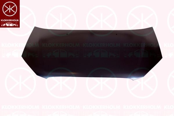 Capot KLOKKERHOLM 3127281 KLOKKERHOLM 3127281: Capot Hyundai GETZ 2009